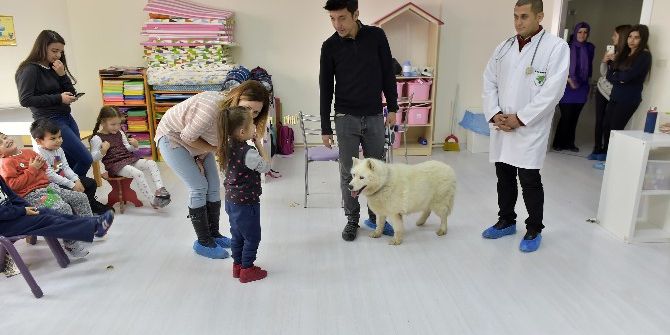 Minikler Sokak Hayvanlarına Karşı Bilinçlendiler