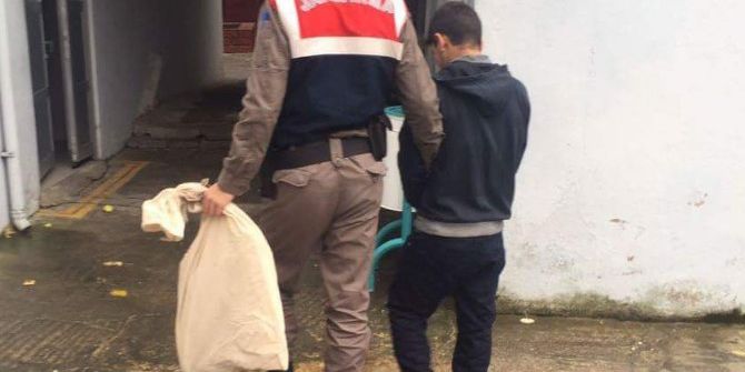 Evinin Bahçesine Kenevir Eken Şahıs Tutuklandı