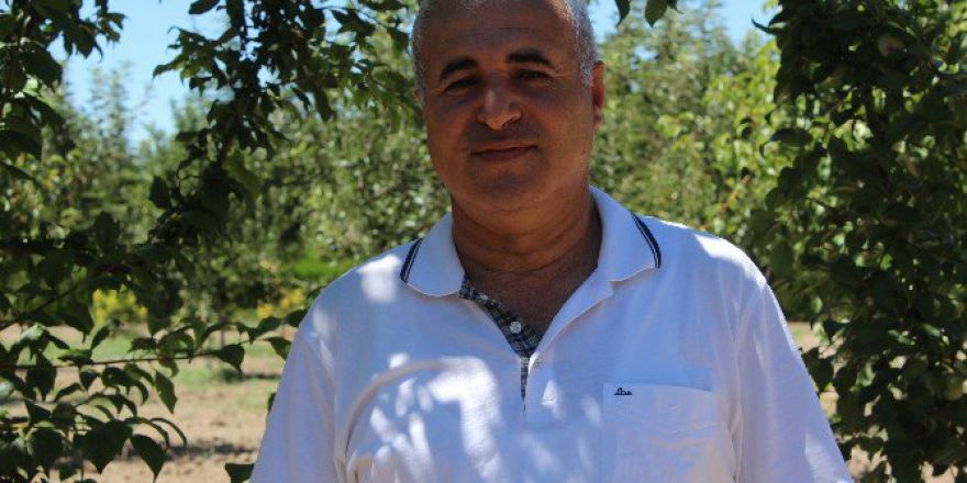 Yağmurdan Etkilenen Kayısı Üreticilerine Tavsiye