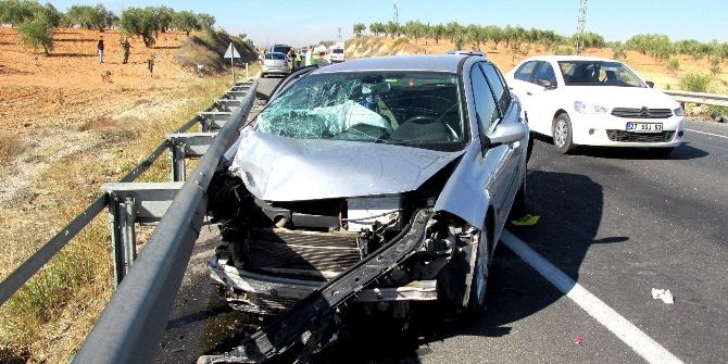 Doğuma Giden Anne Kazada Bebekleri İle Birlikte Öldü