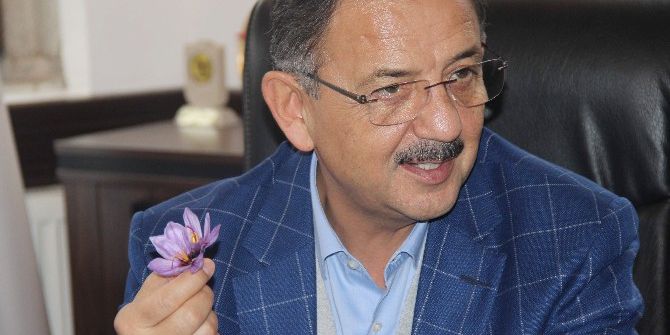 Çevre Ve Şehircilik Bakanı Mehmet Özhaseki: