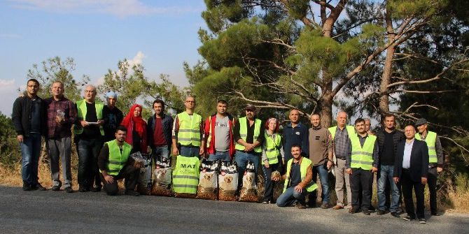 Amatör Telsizcilerden Sokak Hayvanlarına Mama Desteği