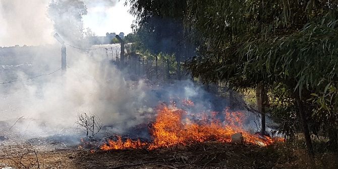 Çöplük Yangını Ucuz Atlatıldı