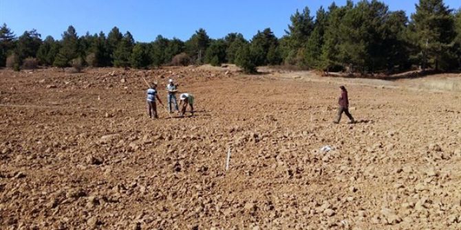 Isparta’ya Geyik Elması Tohum Bahçesi Kuruluyor