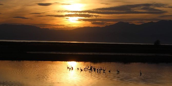 Beyşehir Gölü’nün Sonbahar Konukları Göç Etti