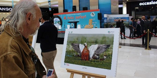 4. Foto Safari Fotoğraf Yarışması