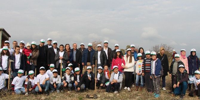 Vezirköprü’de Fidan Dikme Etkinliği