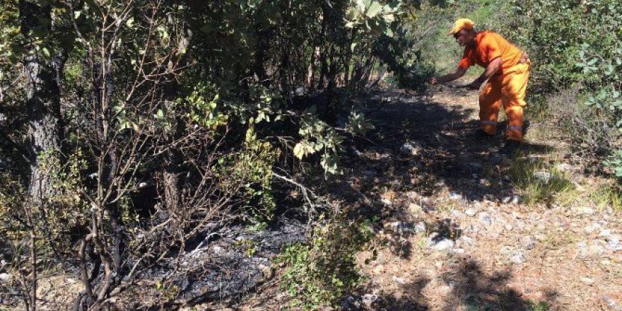 Bursa’da Ormanı Yaktılar