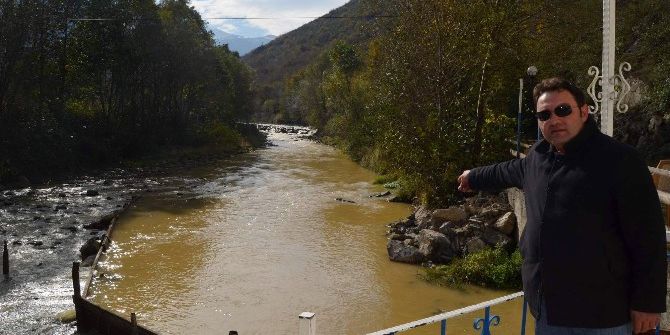 Milyonlarca Balık Üretimi Yapılan Havuzlarda Artık Ot Yetişiyor