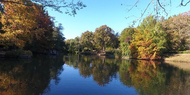 Atatürk Arboretumu’nda Sonbahar Manzaraları Havadan Görüntülendi