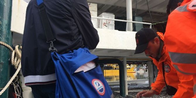 Yasal Boydan Küçük Balık Avlayan Teknelere Ceza Yağdı