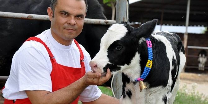 Birlik Başkanı Tunca’dan Buzağı Desteği Açıklaması