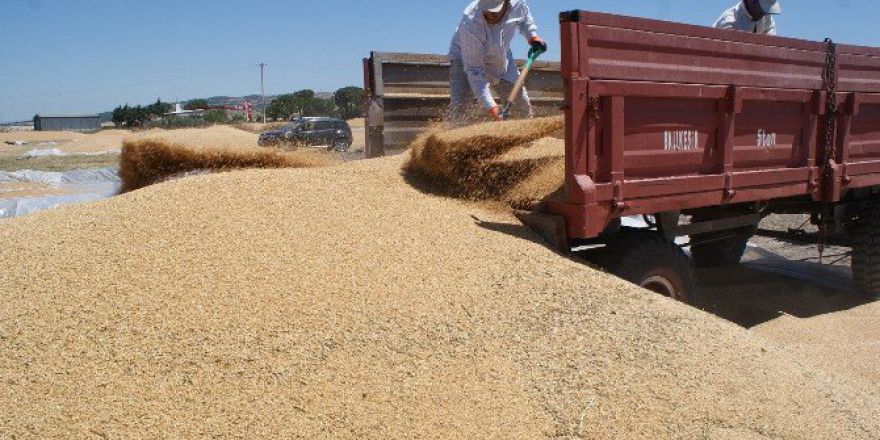 Çiftçi, Toprak Mahsulleri Ofisini Tercih Etti