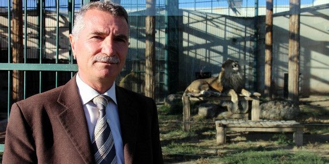 Anadolu Harikalar Diyarı Hayvanat Bahçesi Kışa Hazır