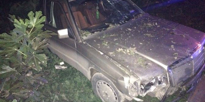 Otomobil Ağaca Çarptı: 2 Yaralı