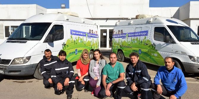 Yaralanan Sokak Hayvanlarının İmdadına Büyükşehir Yetişiyor