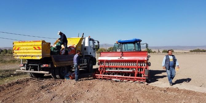 Fidan Üretim Merkezi Çalışmaları Devam Ediyor