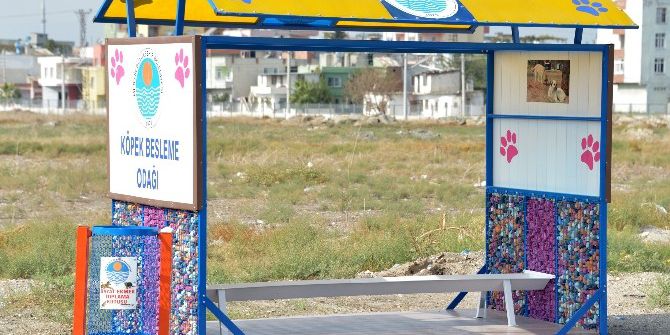 Mersin’de Kedilerden Sonra Köpeklere De Beslenme Odağı