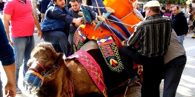 Sarıgöl’de Develere Törenle Havut Giydirildi