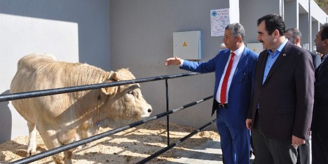 Erdem; “Türk Tarımı, Dünyada Artık Küresel Bir Aktör”