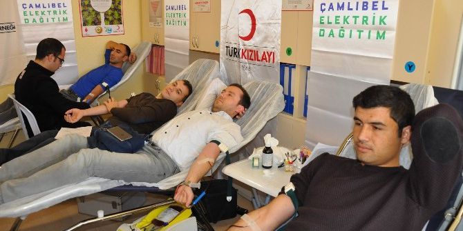 Çedaş Çalışanları Kan Bağışında Bulundu