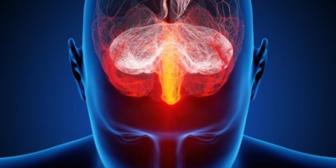 Sizi Bağımlı Eden; “Beyniniz”