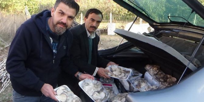 Genç Çiftçi Destek Projesi İle Kendi İşini Kurdu.