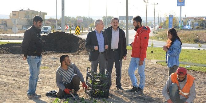 Başkan Acar Peyzaj Çalışmalarını Yerinde İnceledi
