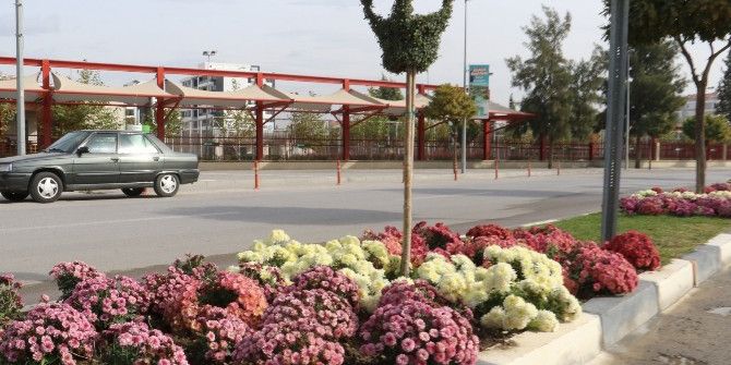 Manisa’da Renk Cümbüşü