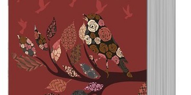 Yazar İlhan Akın’ın “Sessiz Feryat” Adlı Romanı Gürcü Diline Çevriliyor