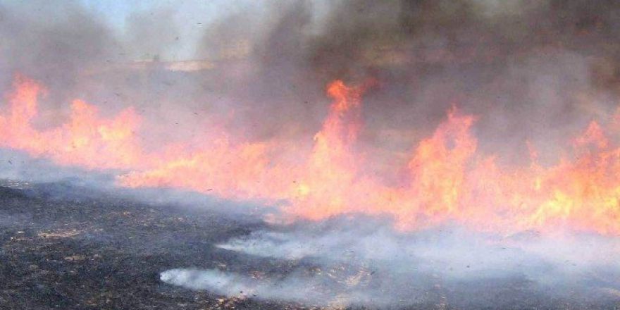 Anız Yangını Uyarısı