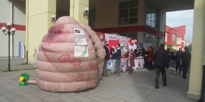 Koca Ciğer Düzce’de