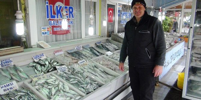 Çinekop Bolluğu Balıkçının Yüzünü Güldürdü