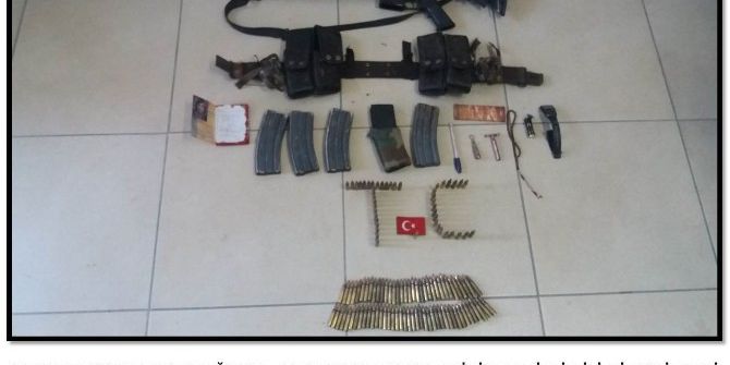 Bitlis’te 1 Pkk’lı Etkisiz Hale Getirildi