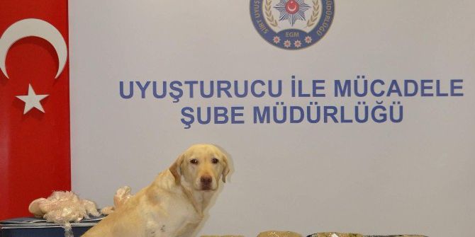 Siirt’te 8 Kilo 400 Gram Esrar Ele Geçirildi