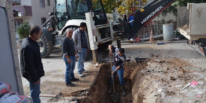 Bilecik Belediyesi Kenti Güzelleştiriyor