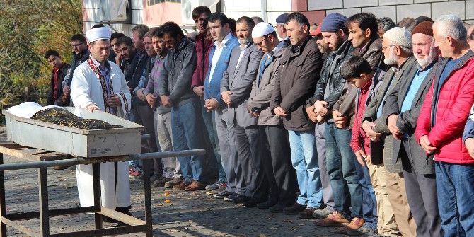 Asırlık Çınar 106 Yaşında Öldü