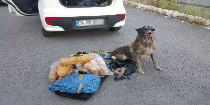 Uşak’ta 10 Kilo 740 Gram Esrar Maddesi Ele Geçirildi