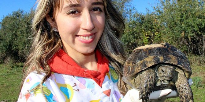 Yaban Hayatına Estetik Dokunuş