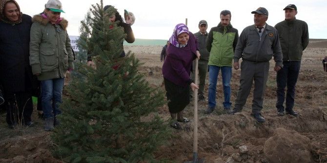 Gönül Elçilerinden 15 Temmuz Şehitleri’ne Hatıra Ormanı