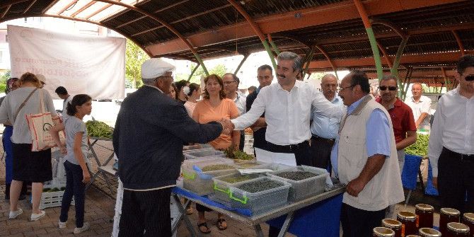 Organik Pazarlar Rekor Ciro İle Kapandı