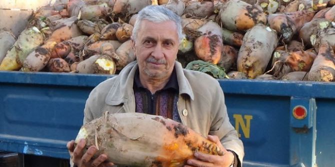 Dev Pancarlar Görenleri Şaşırtıyor