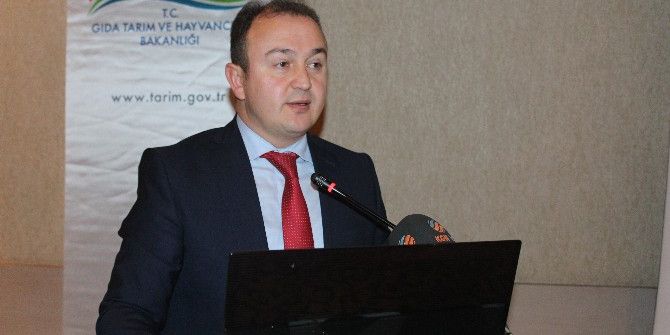 Kkydp Kapsamında Tarıma Dayalı Yatırımlar Bilgilendirme Toplantısı Gerçekleştirildi