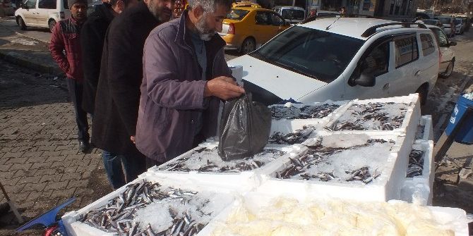 Malazgirt’te Balık Bolluğu