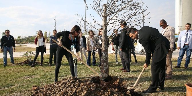 Zimbabve, Afkira’nın Sembolü ‘Baobab Ağacı’nı Expo 2016’ya Hediye Etti