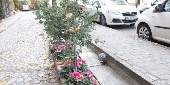 Tombili’nin Heykelinin Çalınması Çevre Sakinlerini Üzüntüye Boğdu