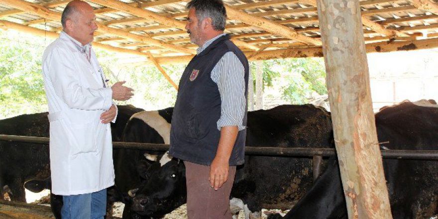 Pamukkale Belediyesi’nden Hayvancılığa Destek