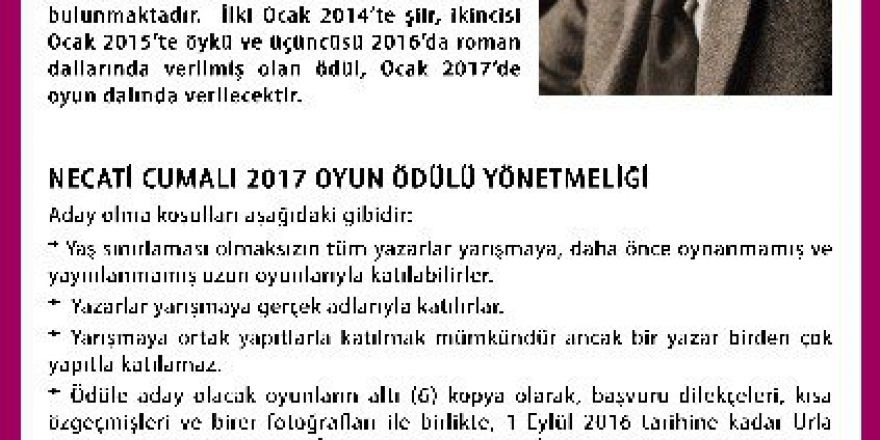 Necati Cumali Edebiyat Ödülü, Bu Yıl ’Oyun’ Dalında Verilecek