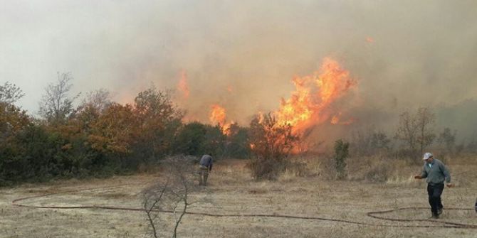 Edirne’de Korkutan Orman Yangını