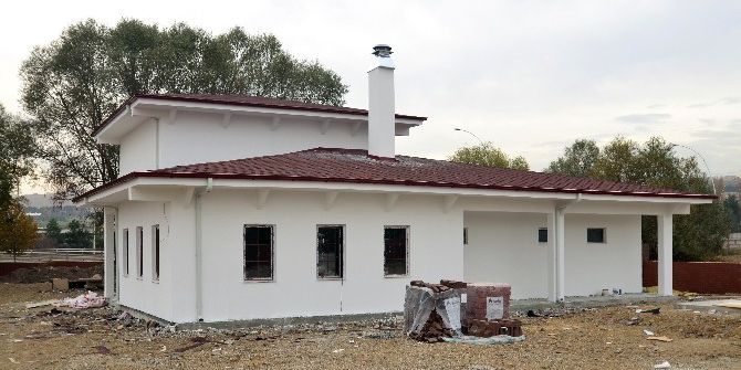 Pursaklar’da Ankara Kedisine Özel Ev